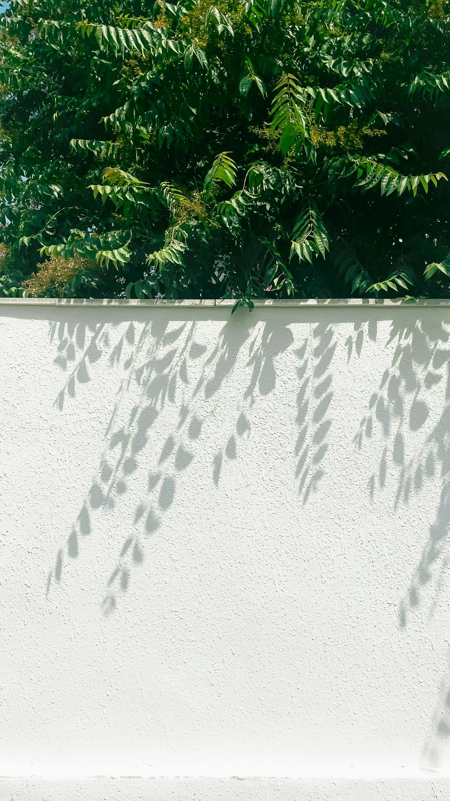 Gratuit Imagine de stoc gratuită din @în aer liber, arbore, arhitectură Fotografie de stoc