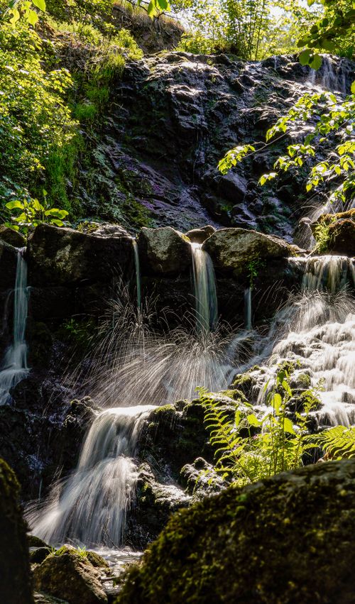 Free A serene waterfall cascades down mossy rocks surrounded by lush forest greenery. Stock Photo