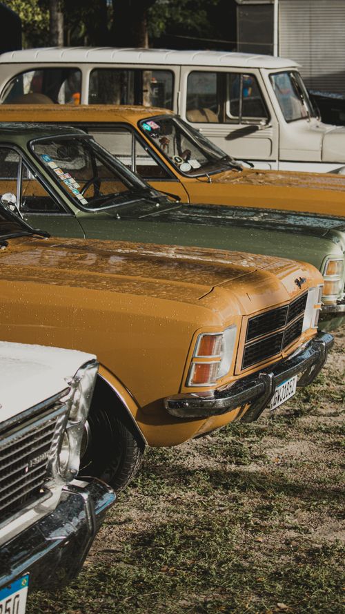 Free A collection of vintage cars parked outdoors on a sunny day, showcasing automotive history. Stock Photo