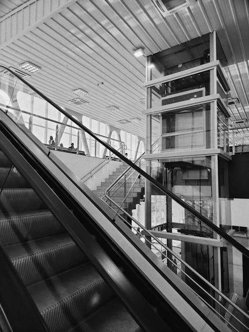 Bezpłatne Darmowe zdjęcie z galerii z czarno-biały, hala lotniskowa, modernistyczna architektura Zdjęcie z galerii