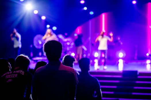 Audience enjoying a live music concert with vibrant stage lighting and performers.