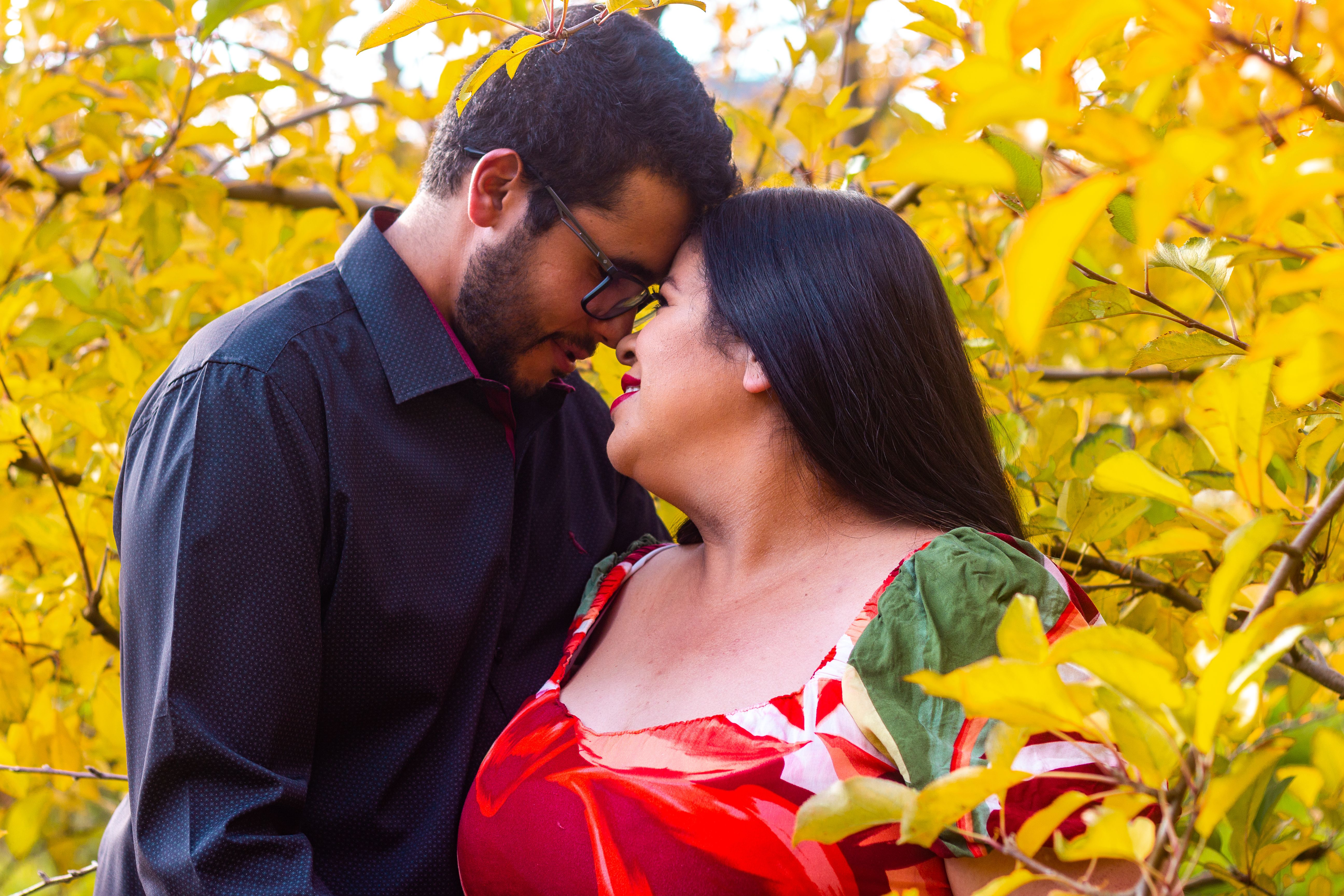 Photo of a Couple Kissing in a Park with Yellow Leaves · Free Stock Photo