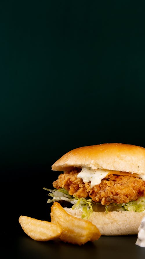 Chicken Sandwich Against Dark Background
