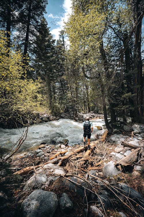 Free Man Hiking near Stream in Forest Stock Photo