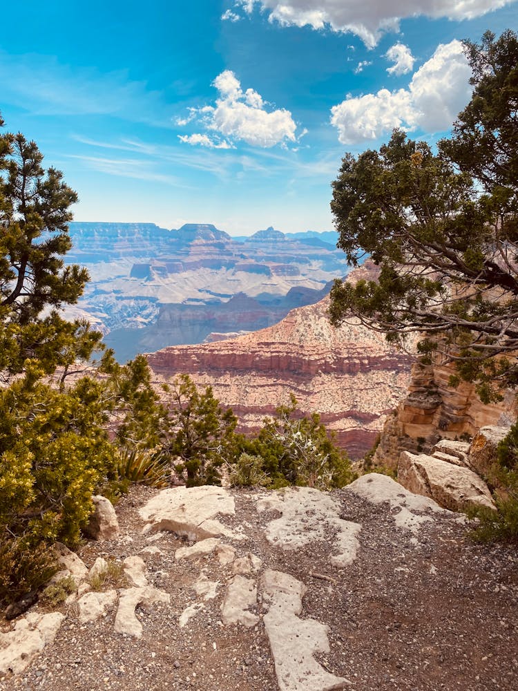 View Of The Grand Canyon, Arizona, United States 