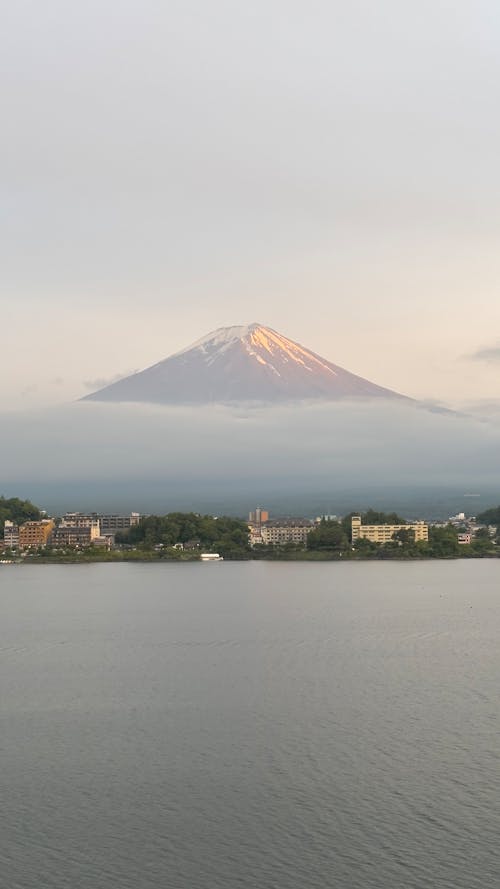 Ilmainen kuvapankkikuva tunnisteilla fuji, japani, järvi