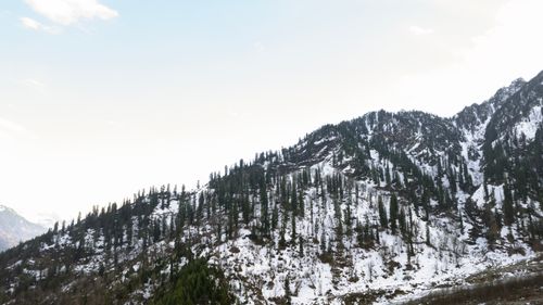 Free A stunning view of snow-covered mountains in Manali, surrounded by lush pine forests. Stock Photo