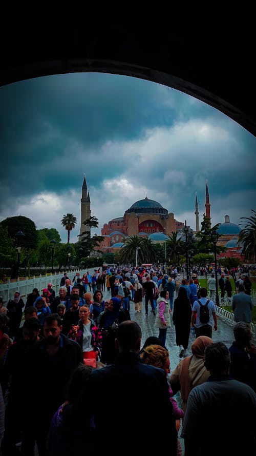 Foto d'estoc gratuïta de ayasofya, camii, gall dindi