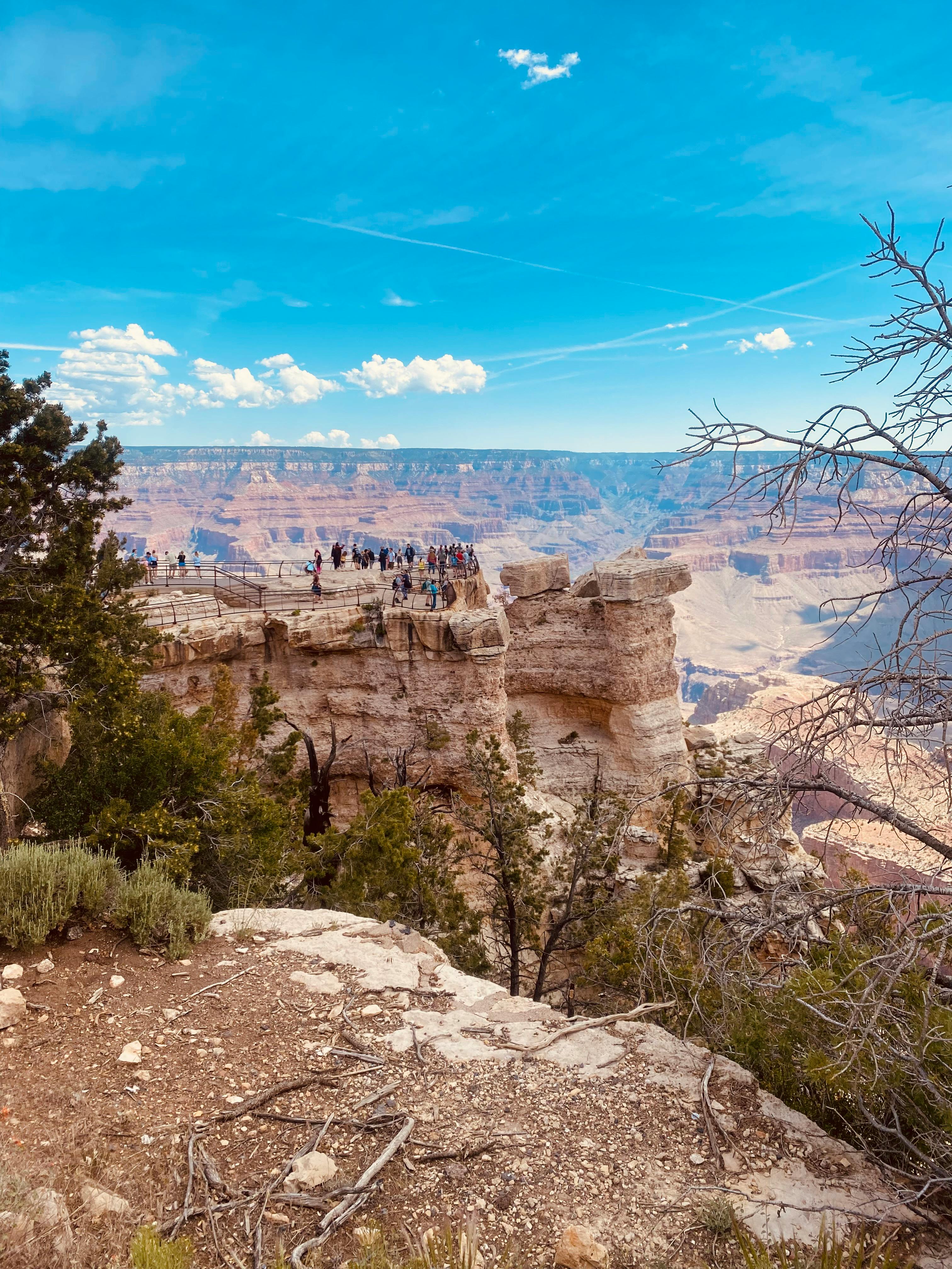 Vista do Grand Canyon pela borda com árvores e penhascos distantes em Grand Canyon Village, Estados Unidos