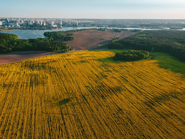 Rural Field With River And City Behind