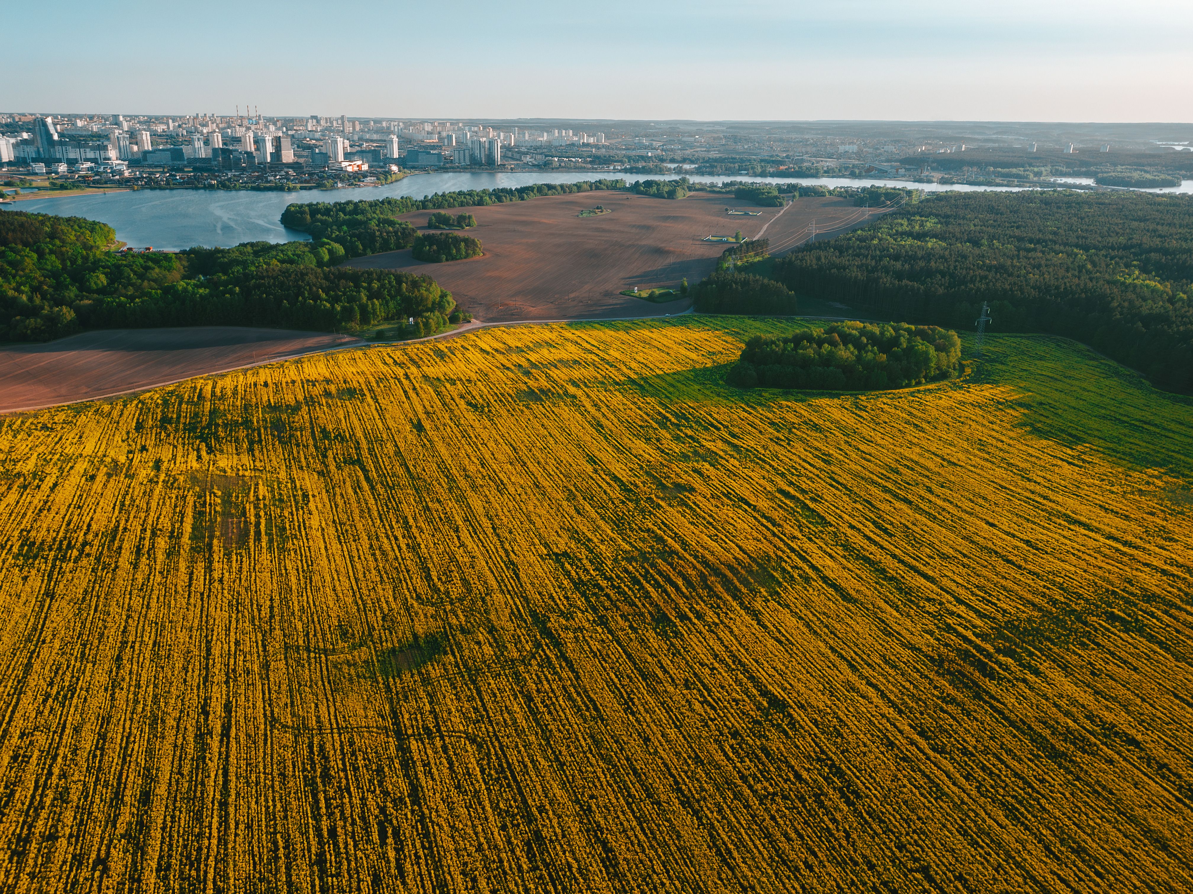 Rural Field with River and City behind · Free Stock Photo
