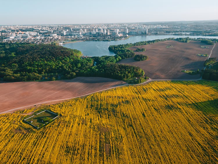 Aerial View Of Agricultural Field On Lake Side Across From City