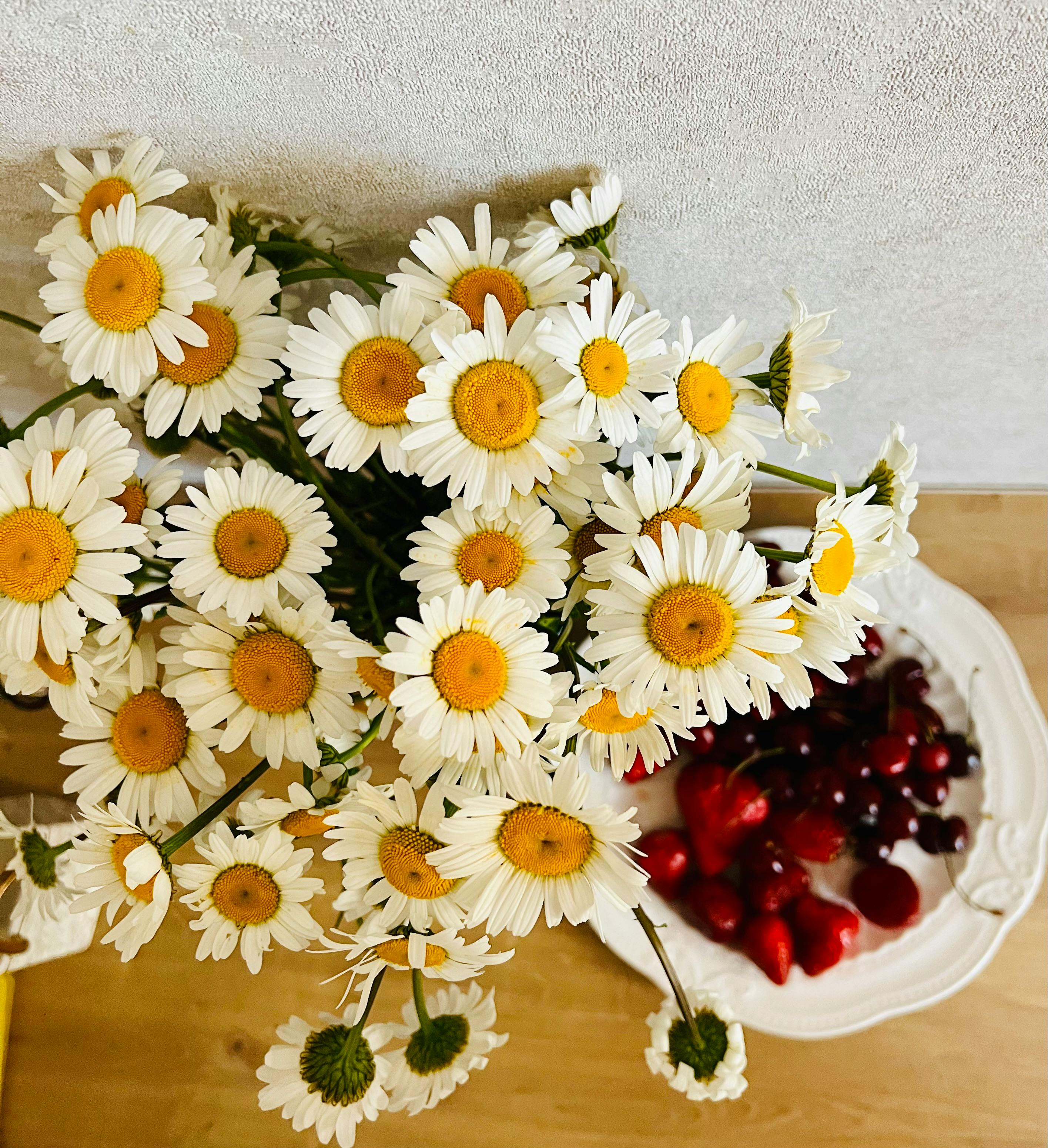 Still Life with Chamomile Flowers and a Plate of Cherries and Strawberries  · Free Stock Photo