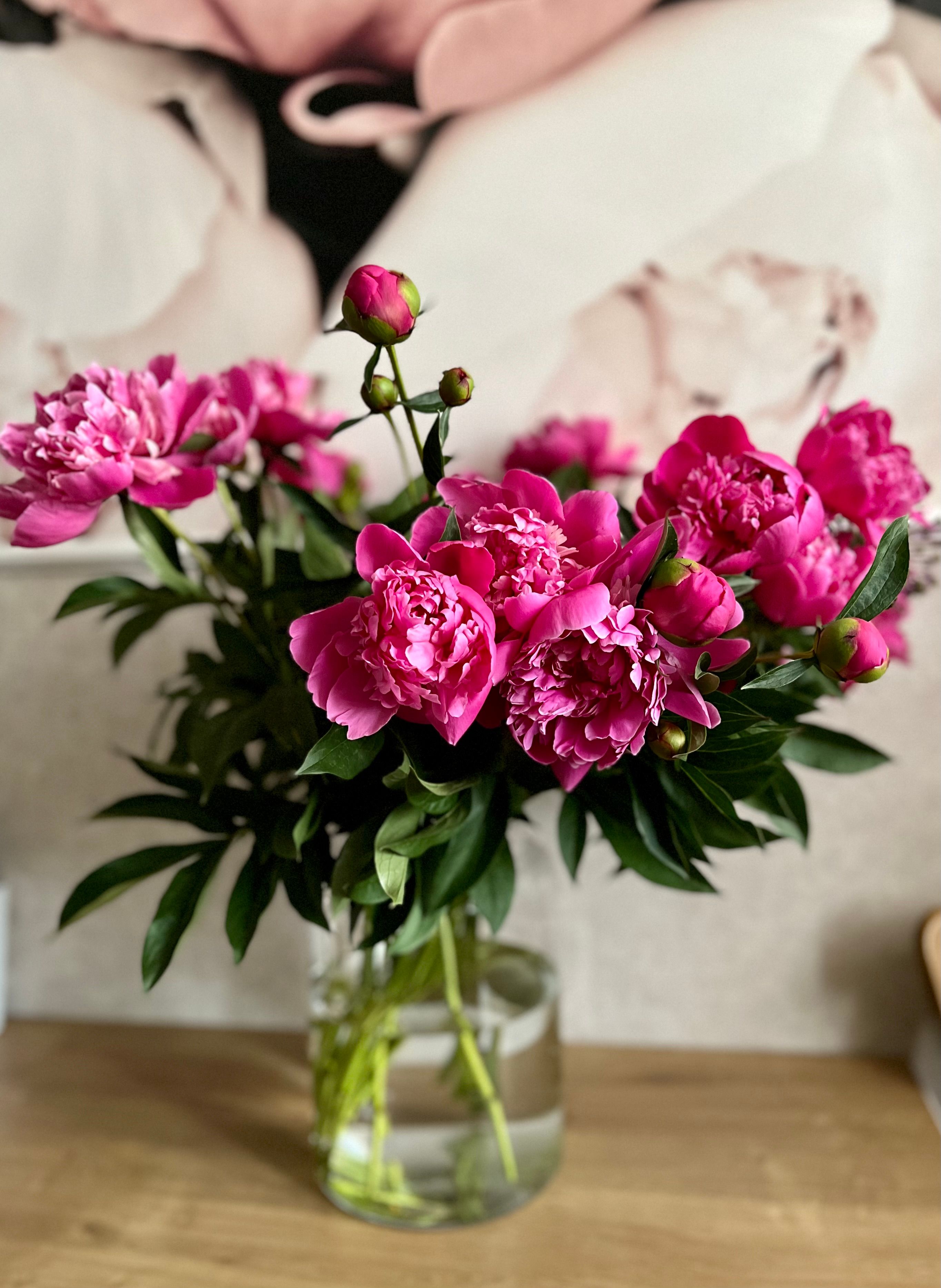 Table Set with Snacks among Bouquets of Flowers in Vases · Free Stock Photo