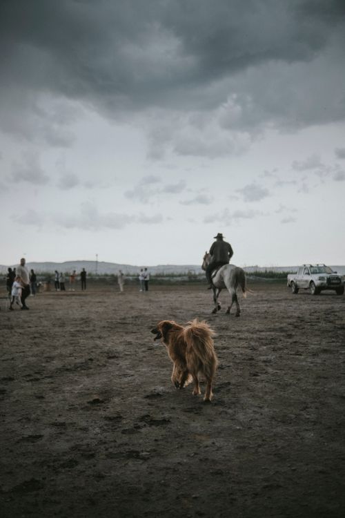 Free A dramatic countryside scene featuring a horseback rider and a dog under stormy clouds. Stock Photo