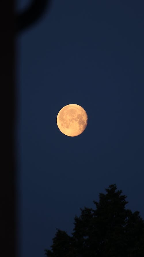 Free stock photo of atmospheric mood, blue hour, full moon