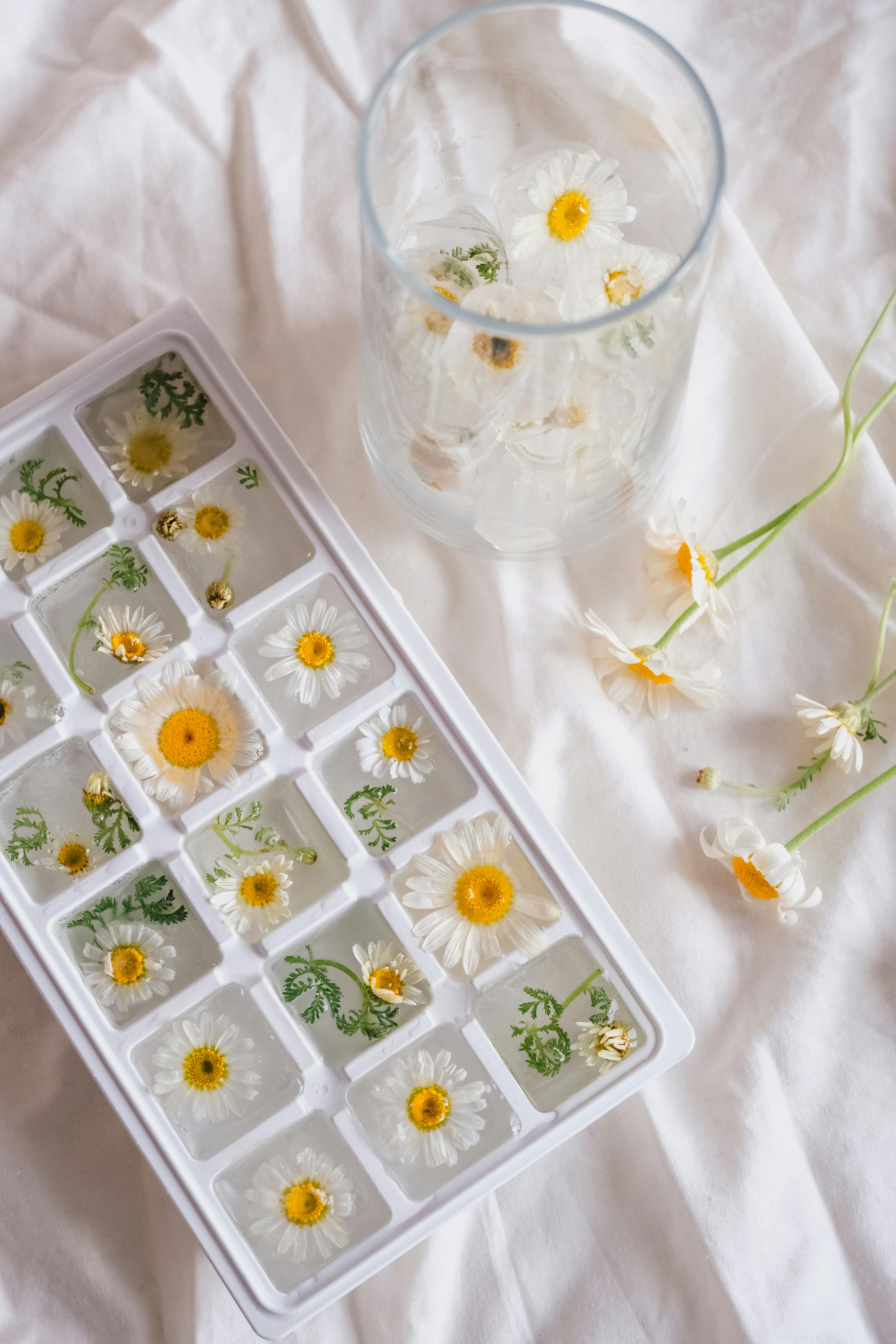 A top-down view of an ice tray with daisies and a glass with flowers on white fabric.