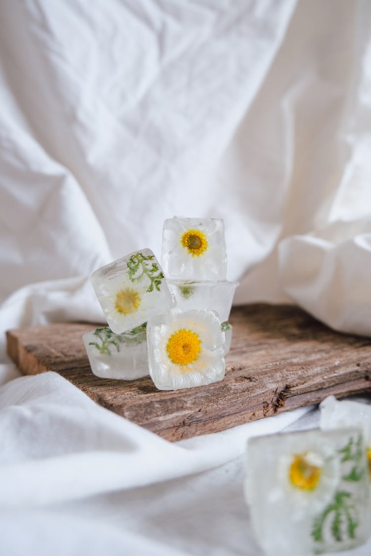 Frozen Chamomiles Flowers