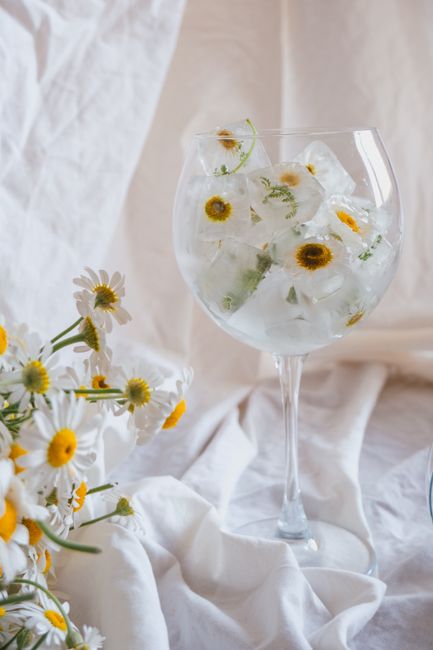 Artistic still life with chamomile flowers frozen in ice cubes inside a glass.