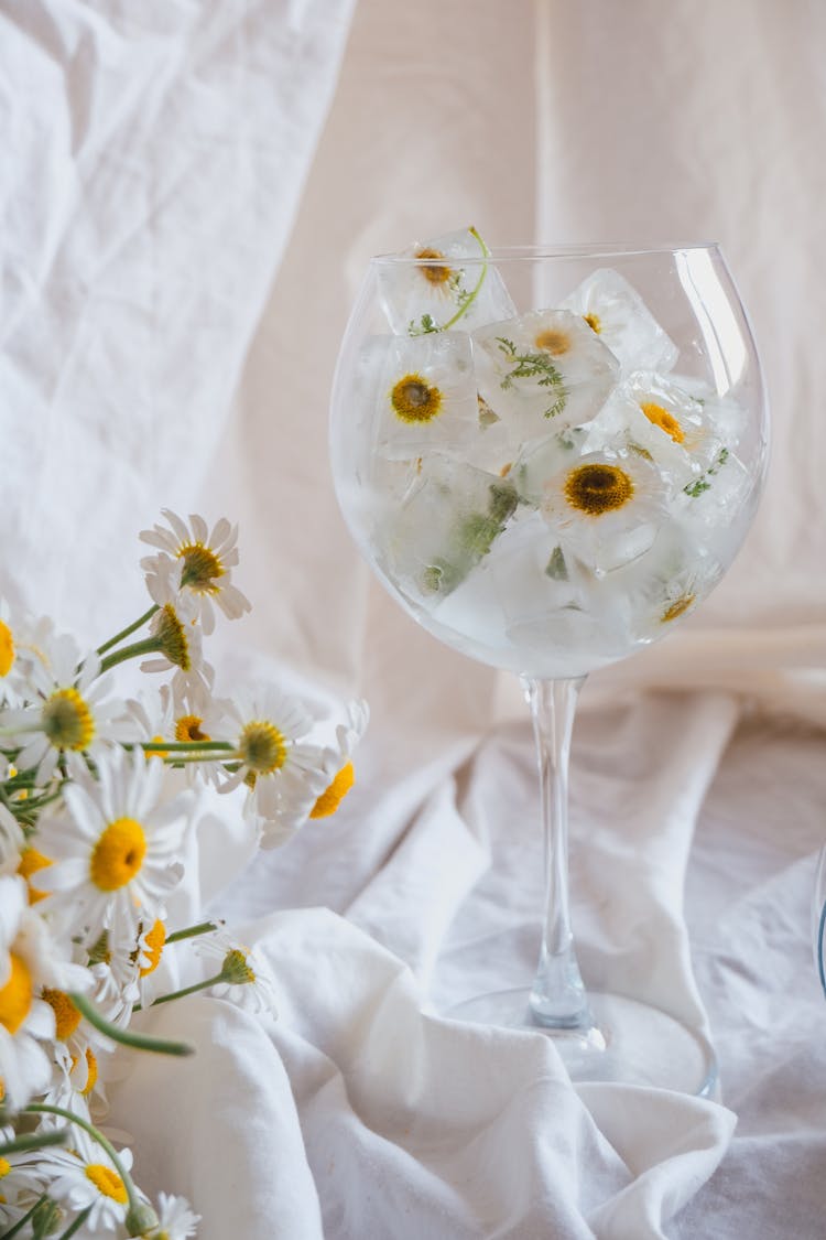 Glass Of Frozen Chamomiles