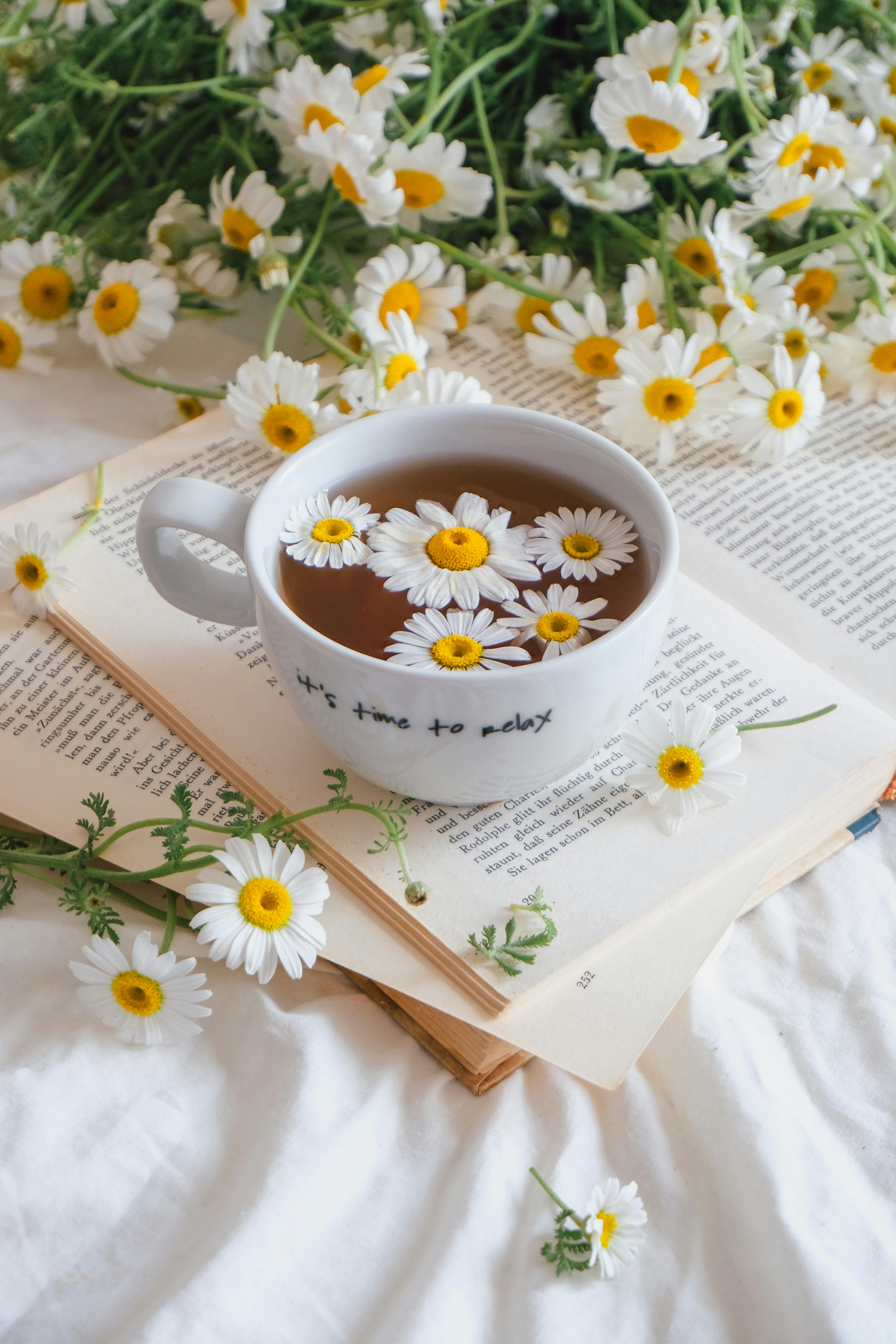 A cup of chamomile tea surrounded by daisies on an open book, promoting relaxation.