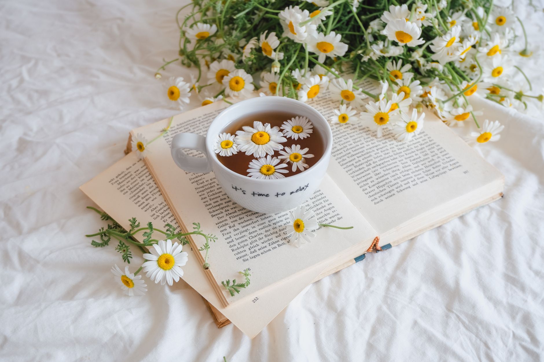 Tea cup with chamomile flowers on an open book, creating a cozy still life.