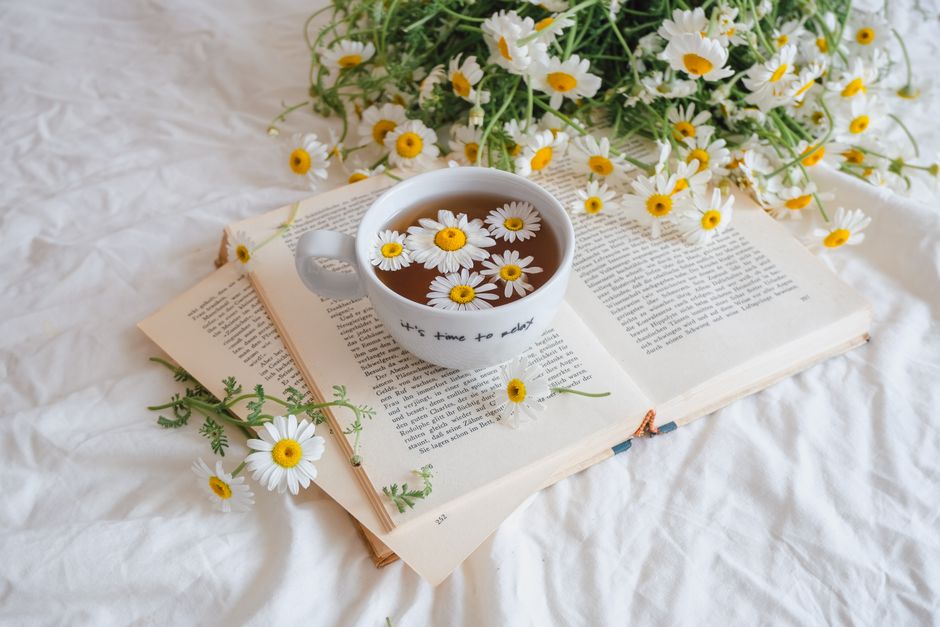 Tea cup with chamomile flowers on an open book, creating a cozy still life.