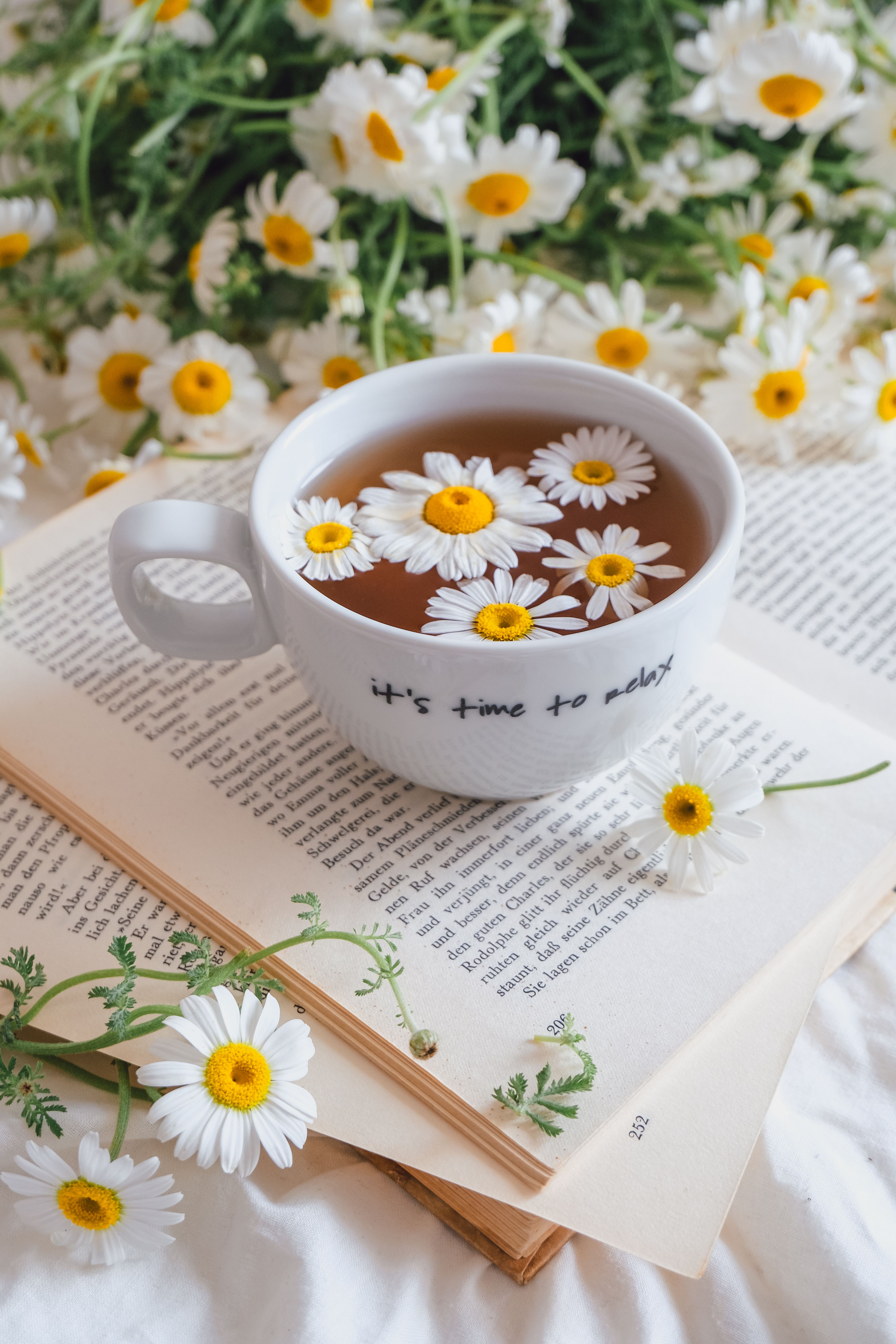 Steaming cups of green tea and chamomile representing the best anti-stress foods for relaxation