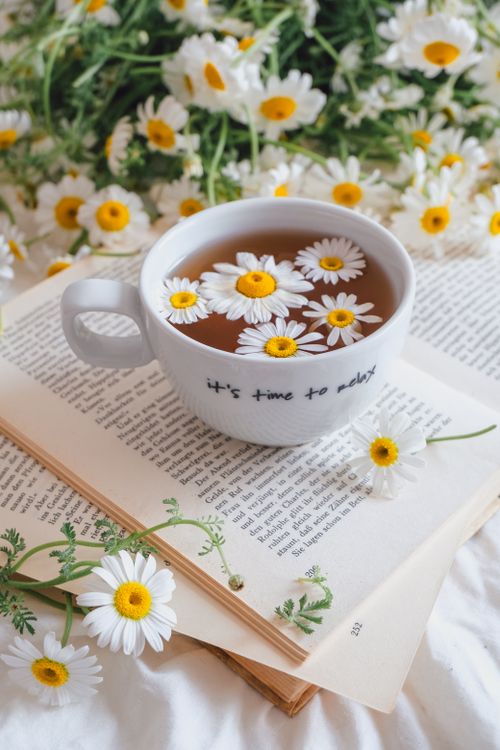 A cup of chamomile tea resting on an open book