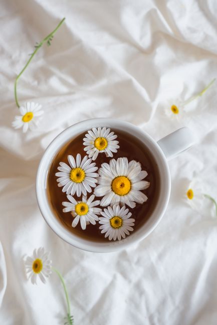 Top view of chamomile tea garnished with daisies, creating a cozy and natural setting.