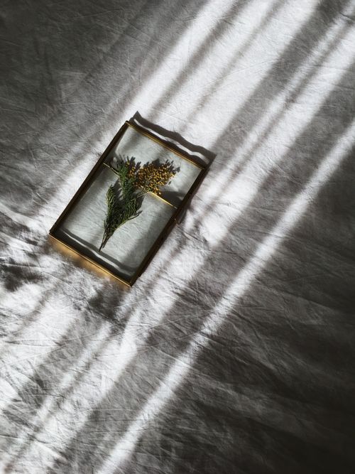 Free A decorative herb arrangement in a frame casts artistic shadows on textured fabric. Stock Photo