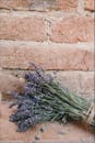 质朴的红砖墙上躺着一束芬芳的熏衣草，营造出一种平静自然的美感