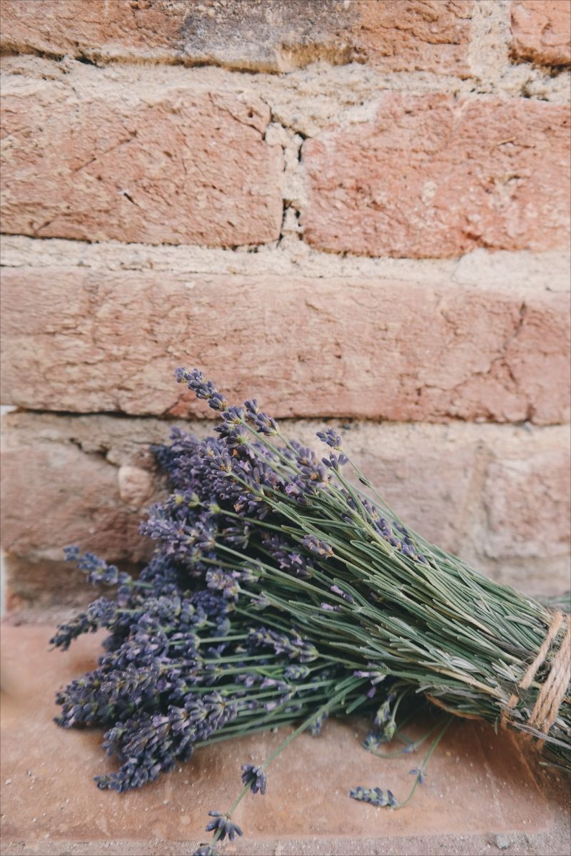 Hoa hồng, lavender và cẩm tú cầu phù hợp nhất để làm hoa khô