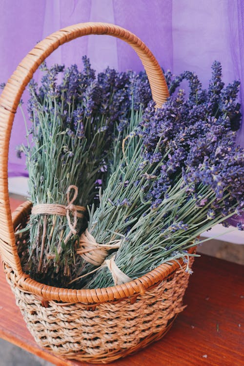 gratis Lavendelbloemen In Geweven Mand Stockfoto
