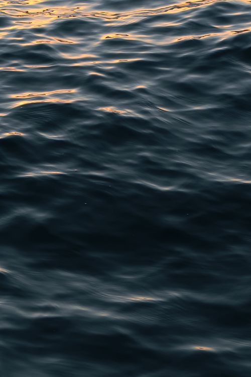 Free Serene ocean waves reflecting golden evening sunlight, capturing nature's tranquility. Stock Photo