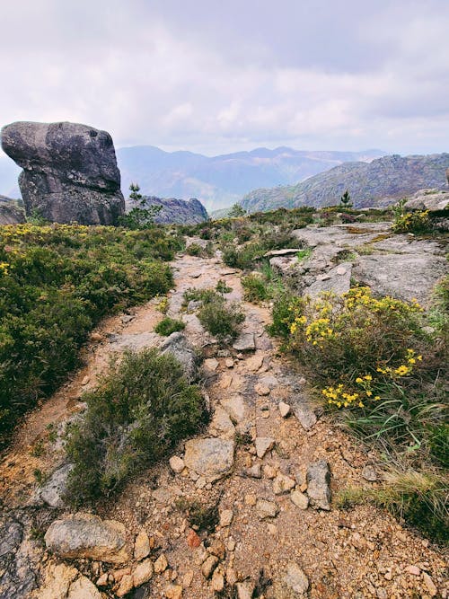 Základová fotografie zdarma na téma gerês, hory, národní park