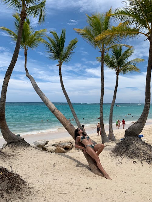 Woman in a Bikini Leaning on a Palm Tree on a Tropical Beach 