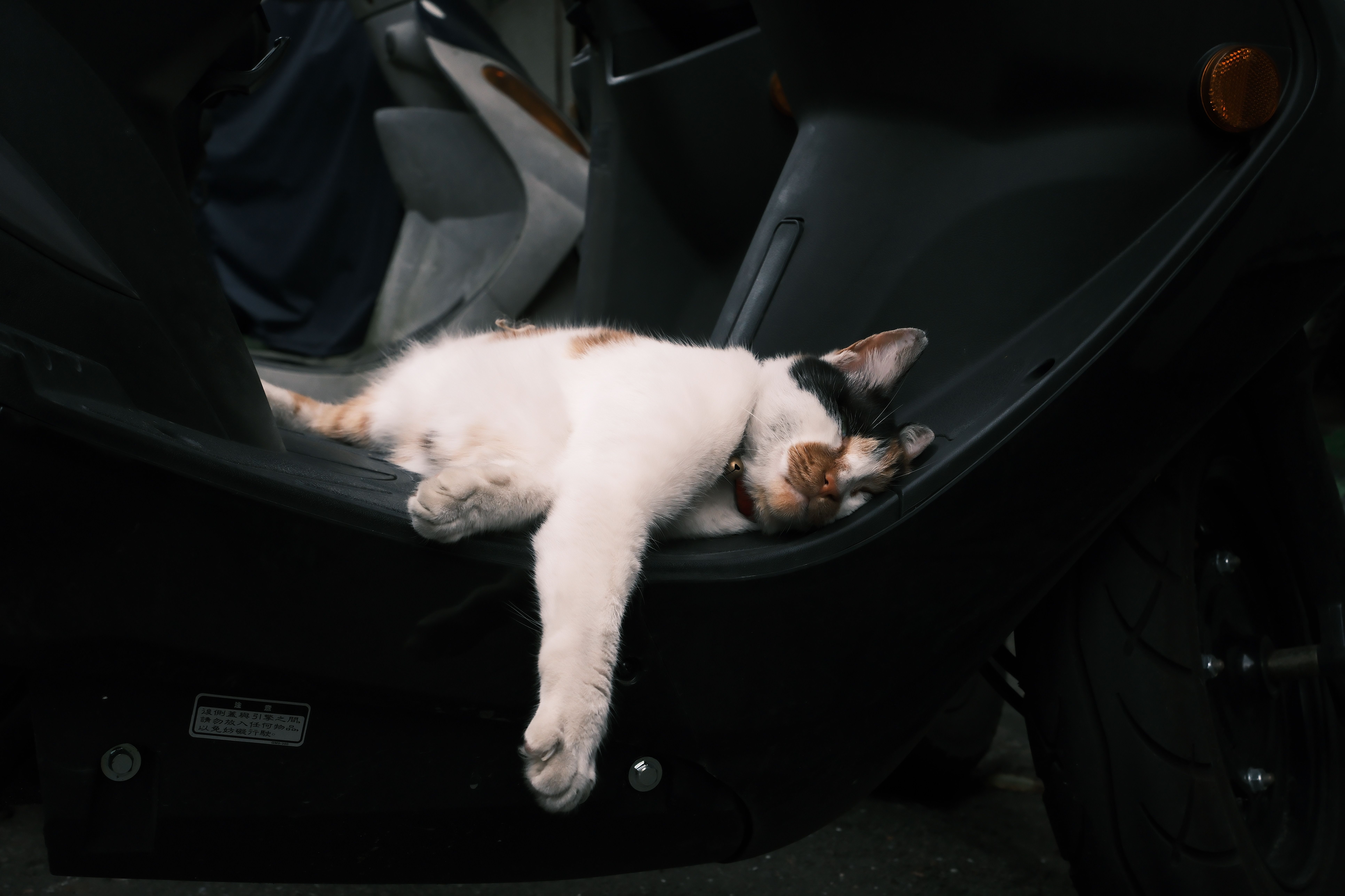 A cat laying on the floor of a motorcycle · Free Stock Photo