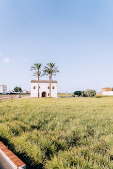 A picturesque house with palm trees on a lush grassy field under a clear sky.