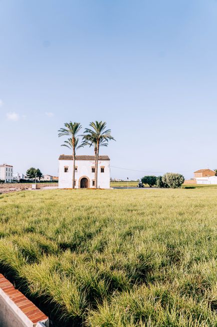 A picturesque house with palm trees on a lush grassy field under a clear sky.