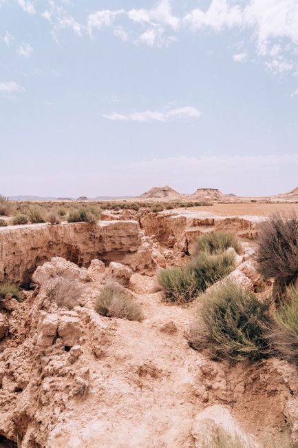 A breathtaking view of an arid desert canyon with sparse vegetation under a bright summer sky.