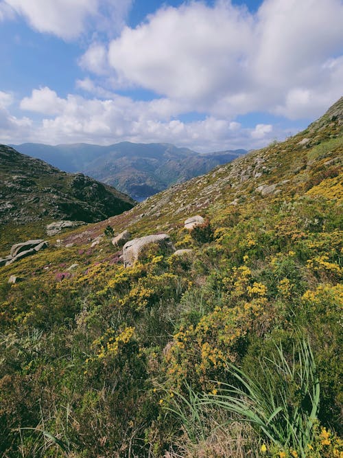 Fotos de stock gratuitas de aventura, excursionismo, gerês