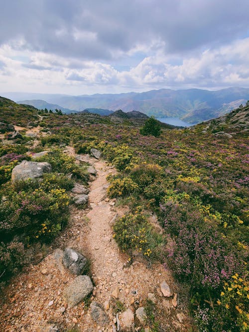 Základová fotografie zdarma na téma gerês, hory, kameny