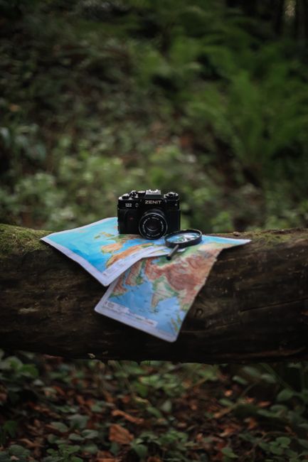 A vintage camera with a map and compass on a log in a lush forest, symbolizing adventure.
