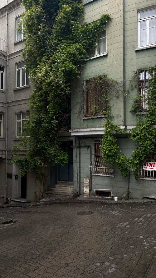 คลังภาพถ่ายฟรี ของ กำแพง, ตุรกี, ถนนในเมือง