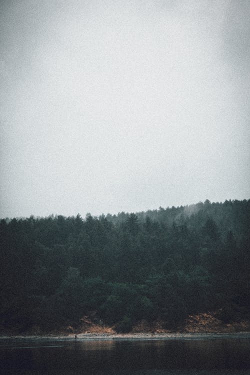 Cloud over Forest by River