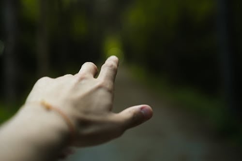 가리키는, 손 인간의 손, 손가락의 무료 스톡 사진