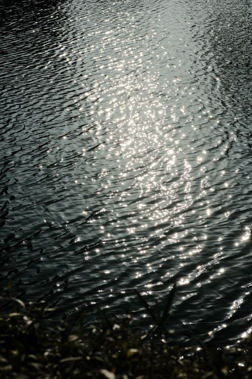 Free Close-up of sunlit reflections on rippling water surface, showcasing nature's beauty. Stock Photo