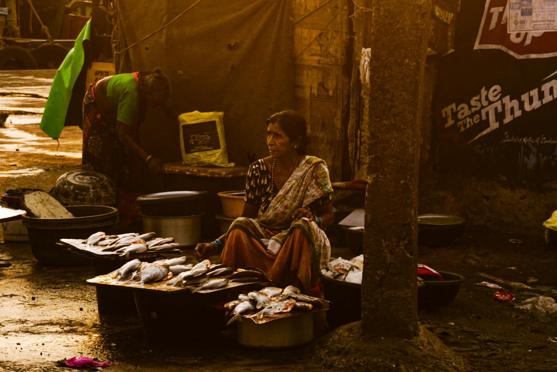 A woman sells fish at a rural market, highlighting everyday life and culture.