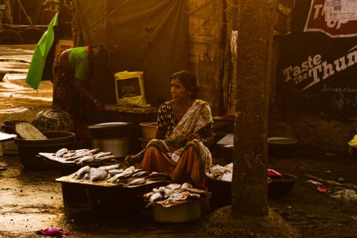 Free A woman sells fish at a rural market, highlighting everyday life and culture. Stock Photo